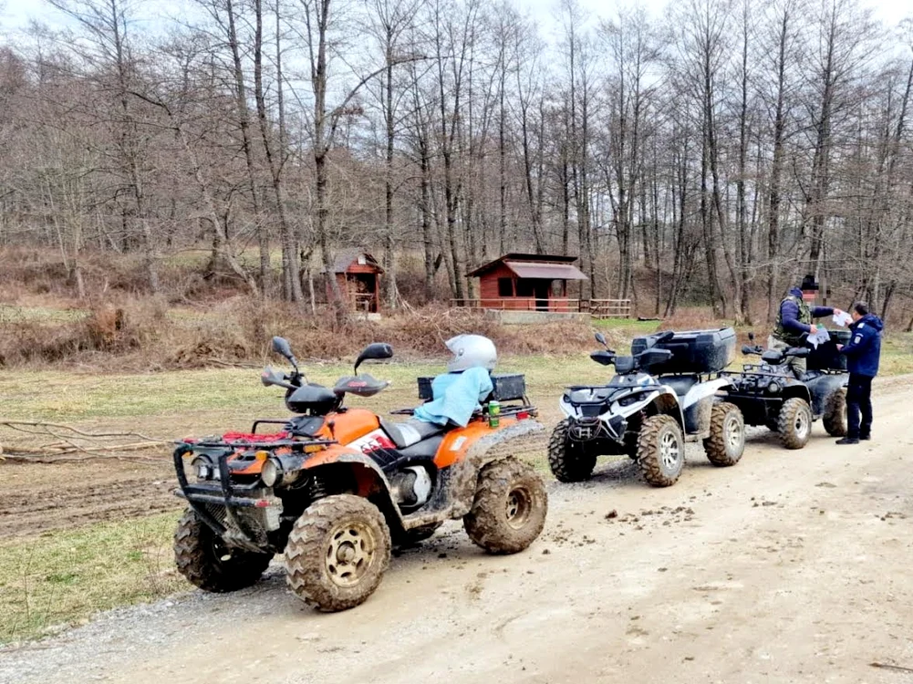 Plimbări ilegale cu ATV-ul, în Ocolul Silvic Sturzeni. FOTO IJJ Dâmbovița