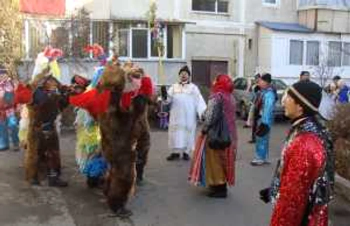 Urşii din Moineşti-Bacău au colindat prin cartierele Râmnicului