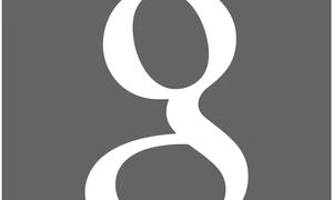 Apogeul Google Sau dincolo de el? jpeg