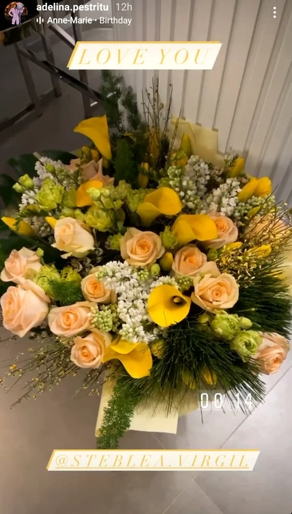 2 cadou adelina pestritu de la virgil steblea 2 jpg jpeg