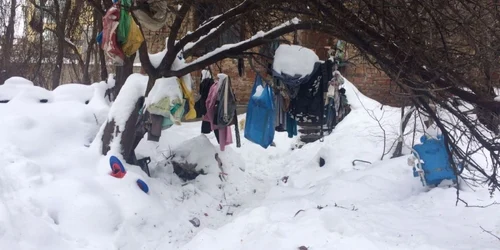 familia mardare ziarul de iasi