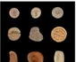Descoperiri arheologice la Memphis 