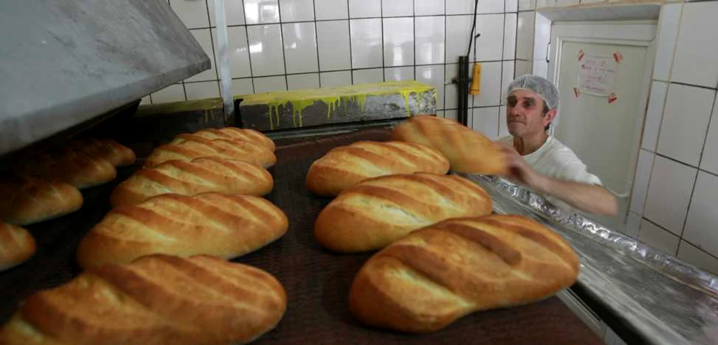 Arhivă