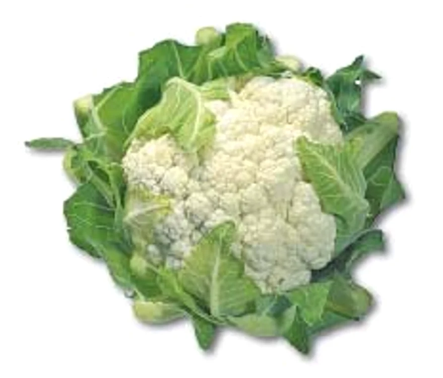 
    Conopida conţine o cantitate foarte mare de potasiu, vitaminele B, B2, C, calciu, magneziu dar şi fier  