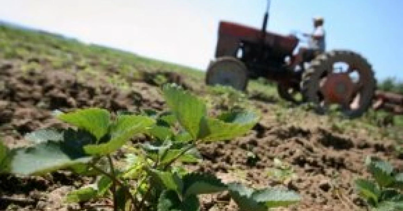 Raport CE: România riscă să piardă 169 milioane de euro fonduri PHARE