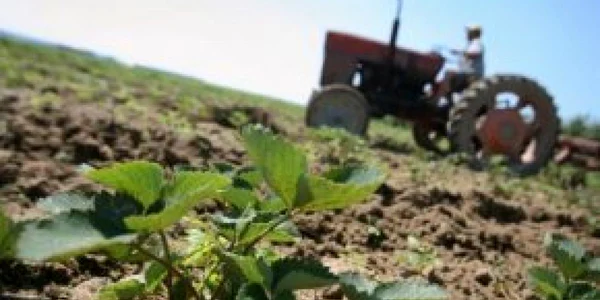Raport CE: România riscă să piardă 169 milioane de euro fonduri PHARE
