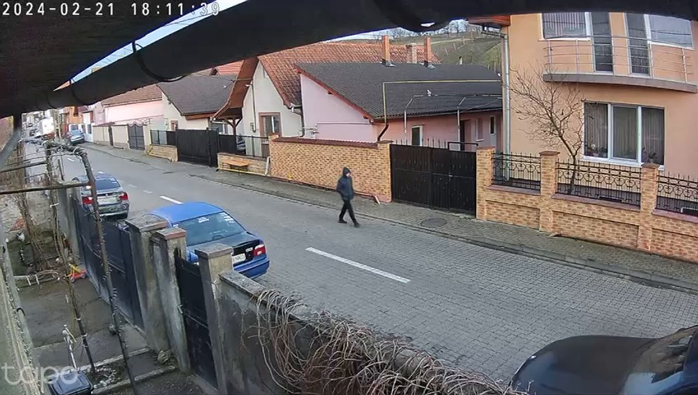 Femeie mușcată de un câine pe o stradă din Alba Iulia. Momentul a fost filmat de o cameră de supraveghere VIDEO