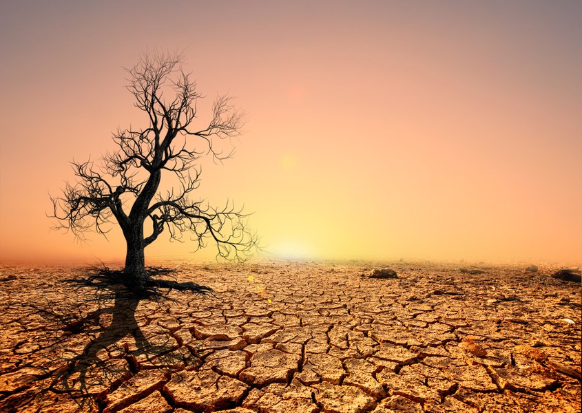 Primul an în care a fost depășit pragul încălzirii globale de 1,5 grade Celsius. „Fiecare an din restul vieții tale va fi cel mai călduros”