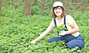 shutterstock 104664980 0 jpeg