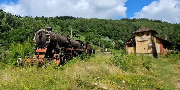 Gara din Petrosani Foto Daniel Guță ADEVĂRUL (36) jpg