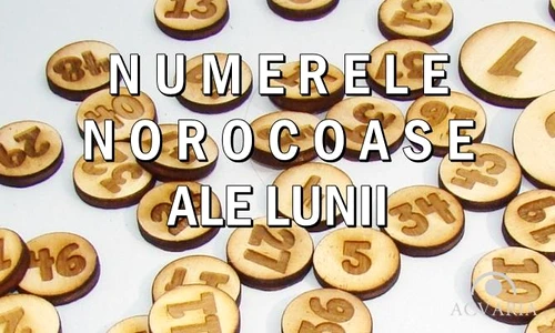 1 83093 original jpg jpeg