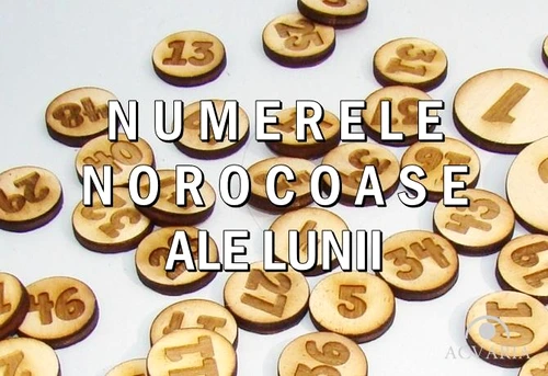 1 83093 original jpg jpeg