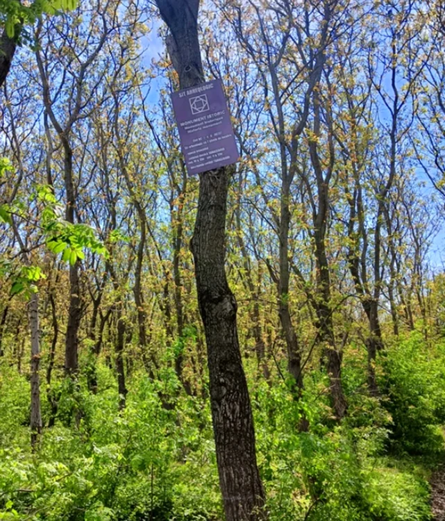 Singurul panou care amintește de marea așezare de la Tamasidava FOTO Mircea Albu