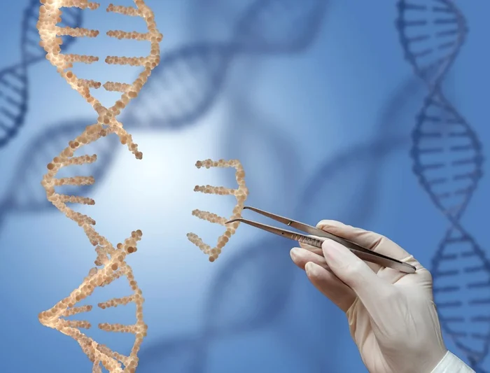 Modificare ADN FOTO: Shutterstock