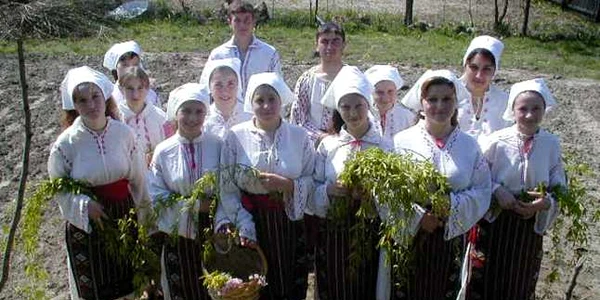 Mlădiţele de salcie sunt considerate "talismanul" ideal impotriva trăsnetelor