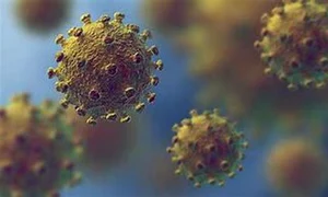 coronavirus poza jpeg