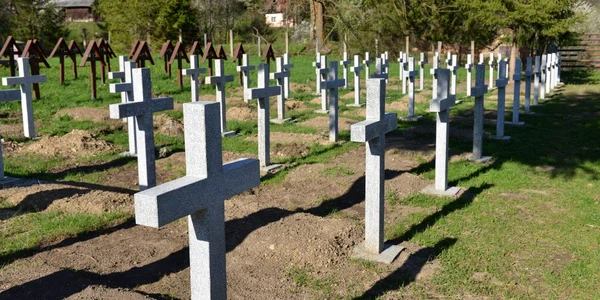 MApN dorește corectarea dezinformărilor părții ungare pe subiectul Valea Uzului jpeg