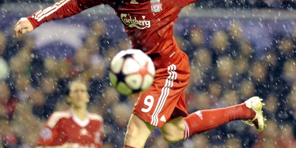 Fernando Torres
