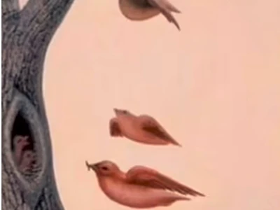 Iluzie optica  Dezvaluie dorinta ta secreta  Sursa foto TiTok PsychologyLove100 jpg