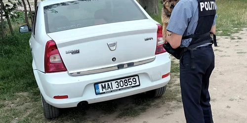 caine abandonat slatina   foto ipj olt1 jpg