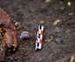Cercetări arheologice la tumulii din Băicoi (© Muzeul Județean de Istorie și Arheologie Prahova)