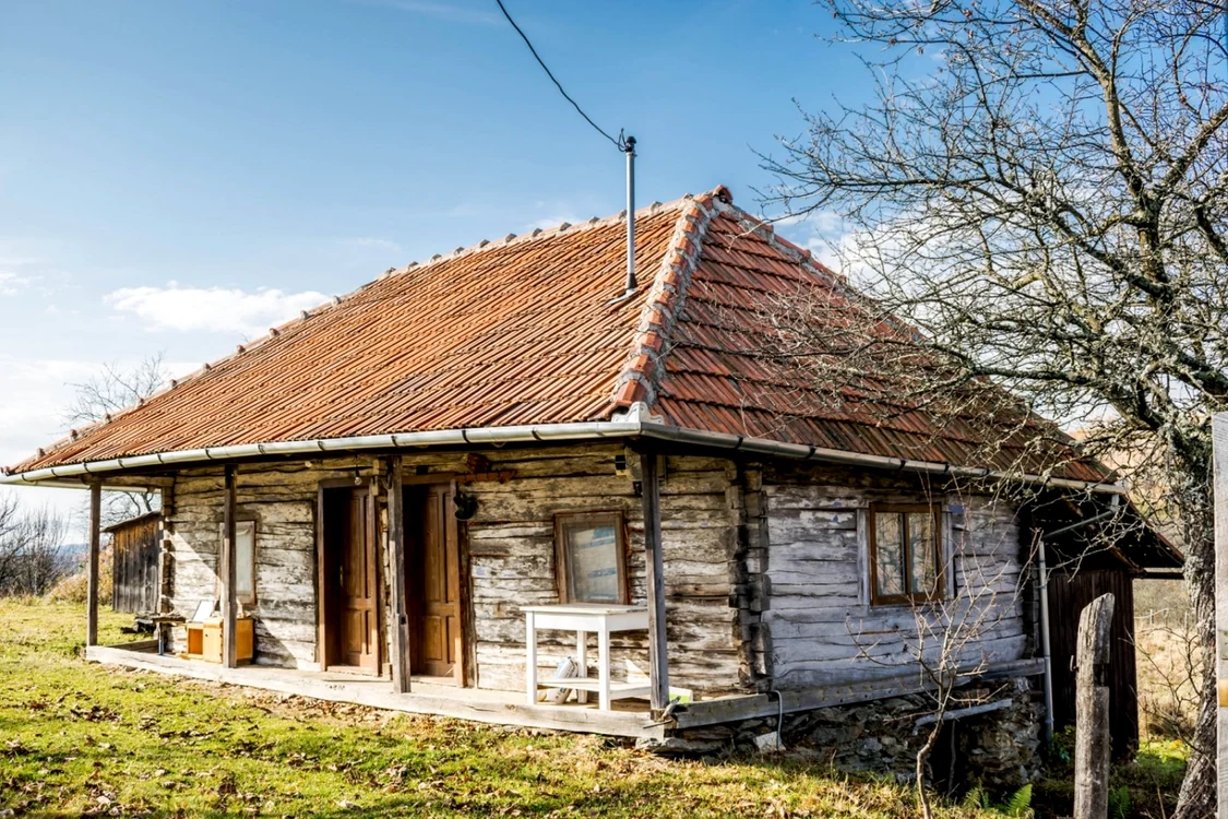mesteacan satul pustiu foto florin apur