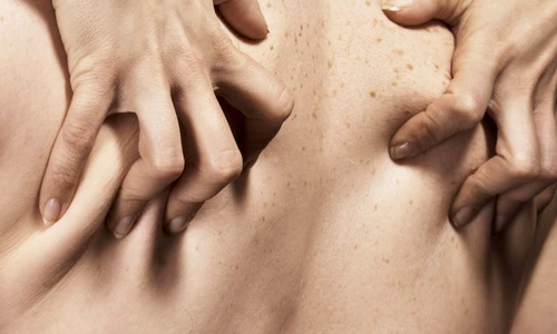 1 79507 original jpg jpeg