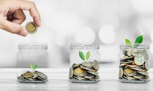 soluții alternative de finanțare - economie