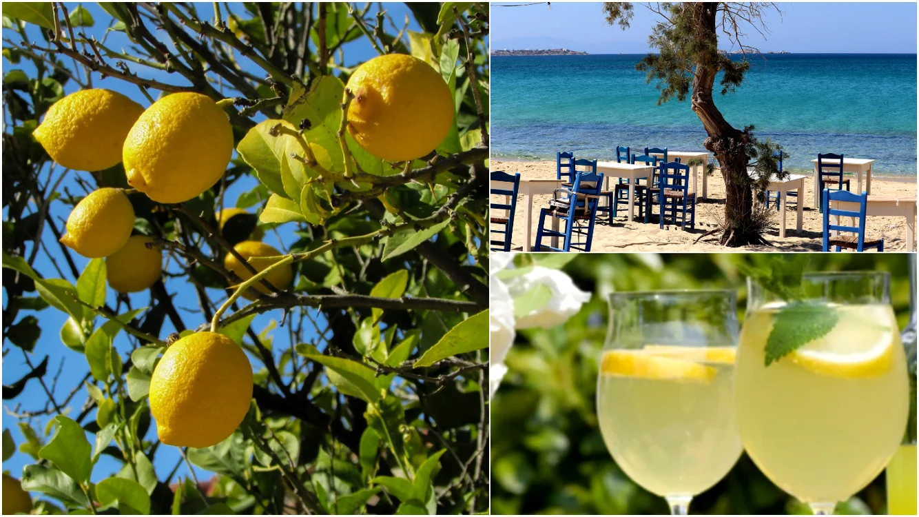 De ce grecii nu fac limonadă, deși toată Grecia e plină de lămâi