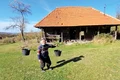 foto mare Hunedoara 5 jpg