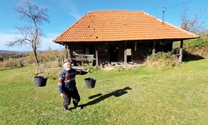 foto mare Hunedoara 5 jpg