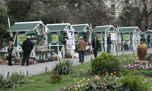 Bucureștenii vor putea cumpăra cadouri de Paște de la căsuțele din parc (foto: Sever Gheorghe) jpeg