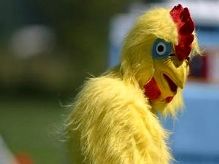 
    Topul găinăriilor din Italia  