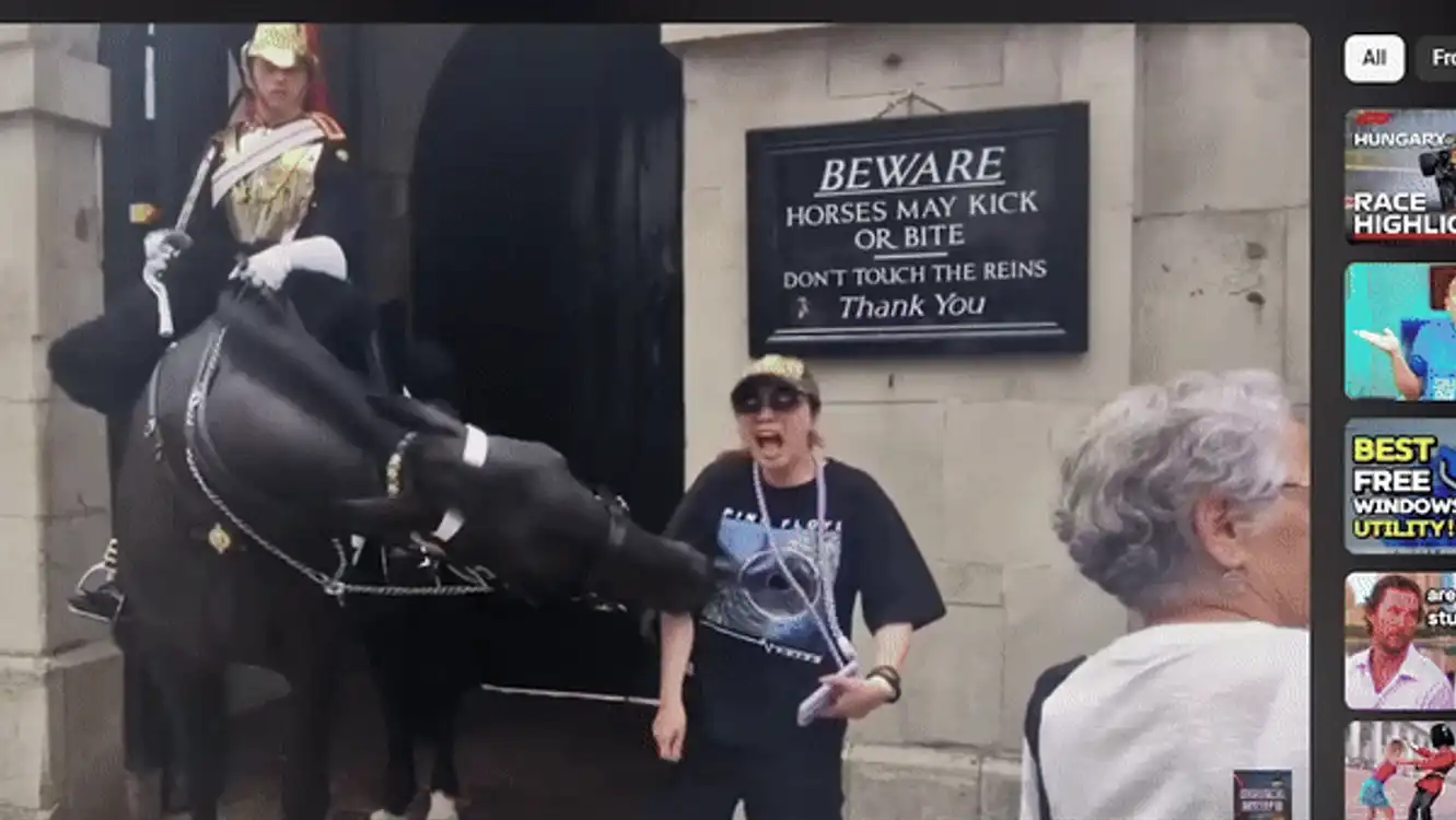 Turista a fost mușcată de braț de calul din ce în ce mai neliniștit