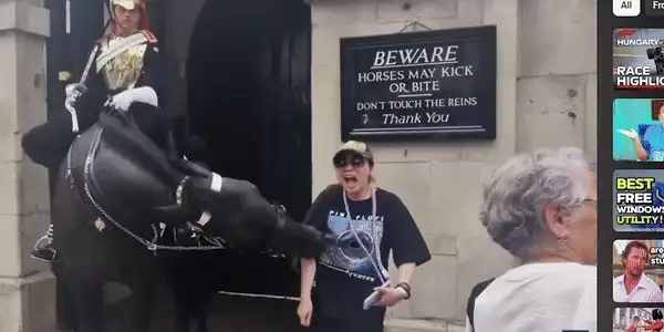 cal gif