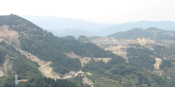 rosia montana alba