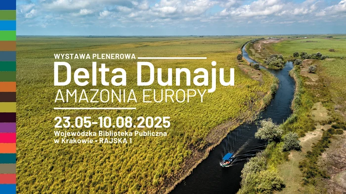 vizual expoziție png