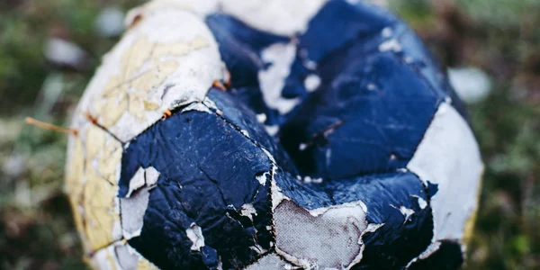 markus spiske xvM3drVu0S4 unsplash jpeg