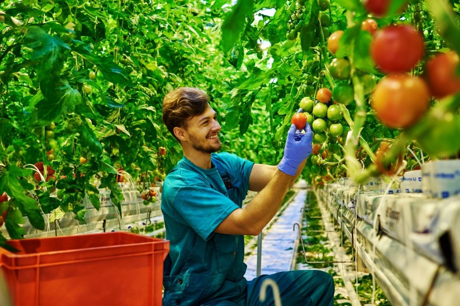 Director UNCSV: Se anunță un an agricol bun, dar există riscul unui blocaj total din cauza surplusului de marfă din Ucraina