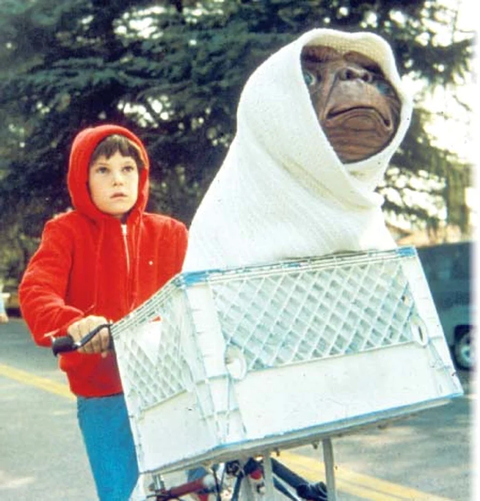 2013: Astăzi joacă roluri mai  puţin importante (Fotografii: Photoland / Wenn)