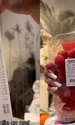 ce a cumparat o romanca din spania de 60 de eurpo jpg