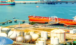 Hormuz captura video jpeg