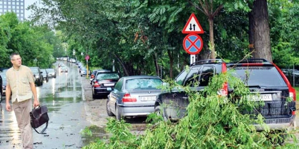 Mai multe crengi au fost rupte de vânt în centrul Ploieştiului  