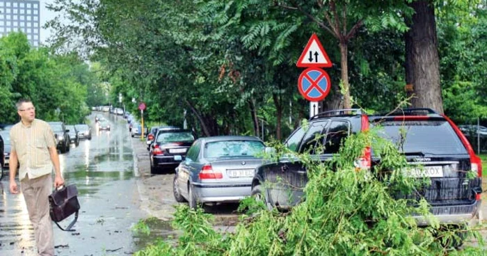 Mai multe crengi au fost rupte de vânt în centrul Ploieştiului