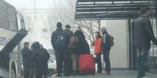 Băcăuanii care muncesc în străinătate s-au întors pentru câteva zile acasă