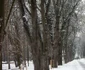 Parcul Municipal Bistriţa 12