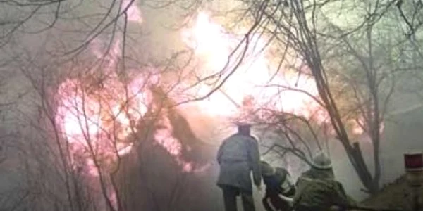 Un cartel de droguri a provocat incendiul din California