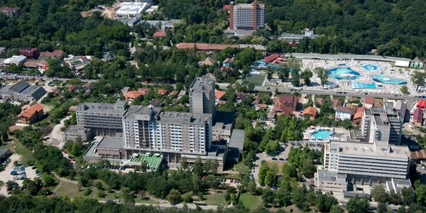 Sînmartin jpg