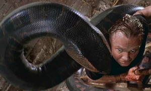 sarpe anaconda jpeg