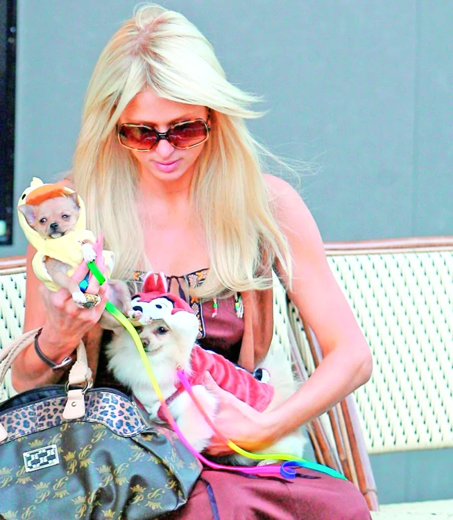 Paris cheltuieşte mii de dolari pe lună pentru hainele câinilor (foto: GuliverSplashnews/epa)